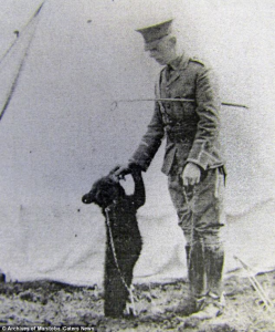 Lt Harry Colebourn and Winnie at Valcartier, 1914