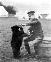 Lt Harrry Colebourn and Winnie at Valcartier Camp 1914